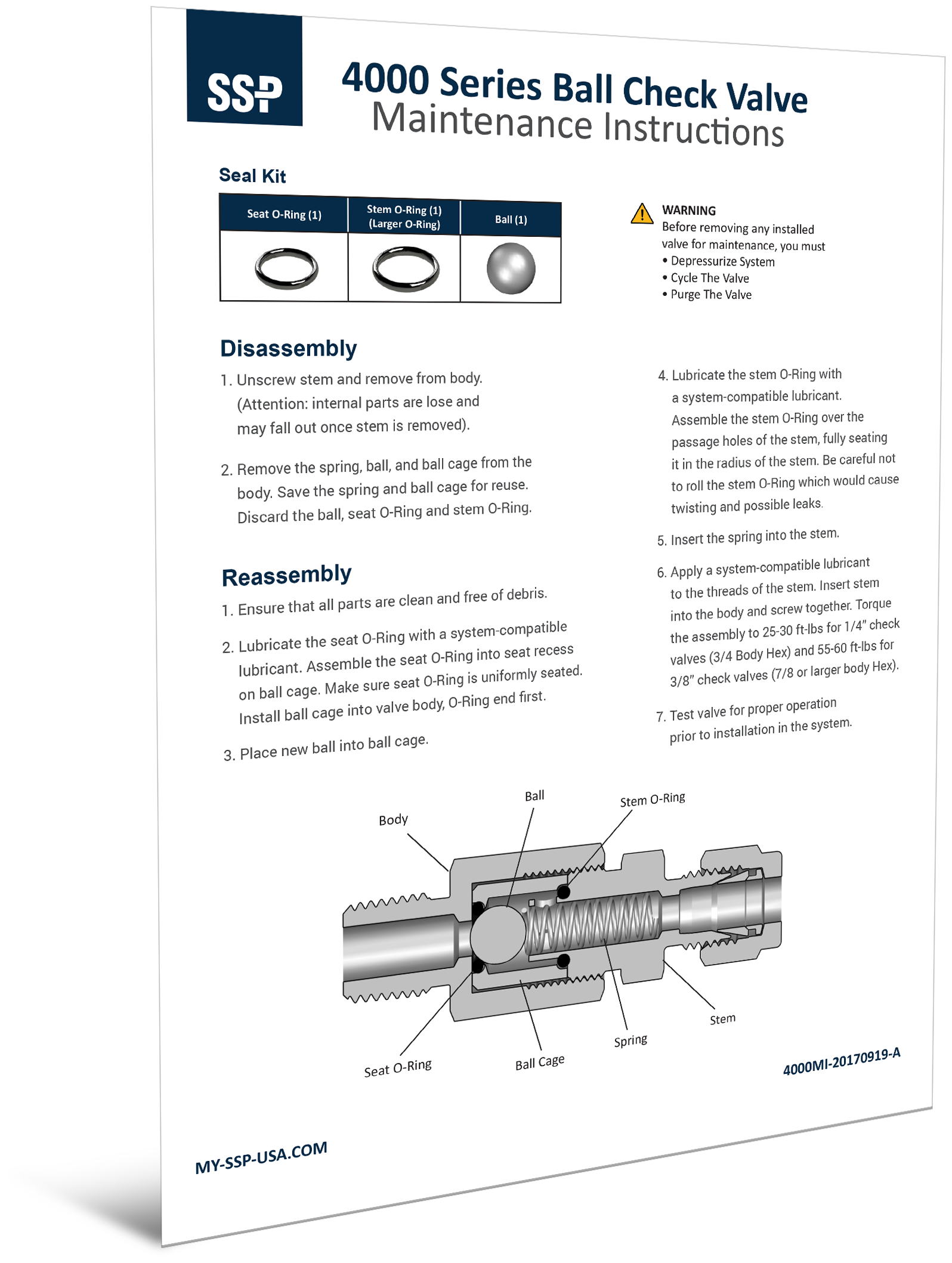 4000 Series Check Valves Maintenance Instructions